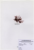 藏品(旋花藻)的圖片